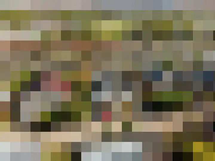 Ringvaartzijde 15 Lisse thumbnail 5