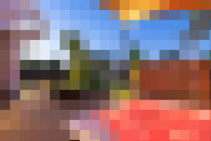 Ringvaartzijde 15 Lisse thumbnail 67