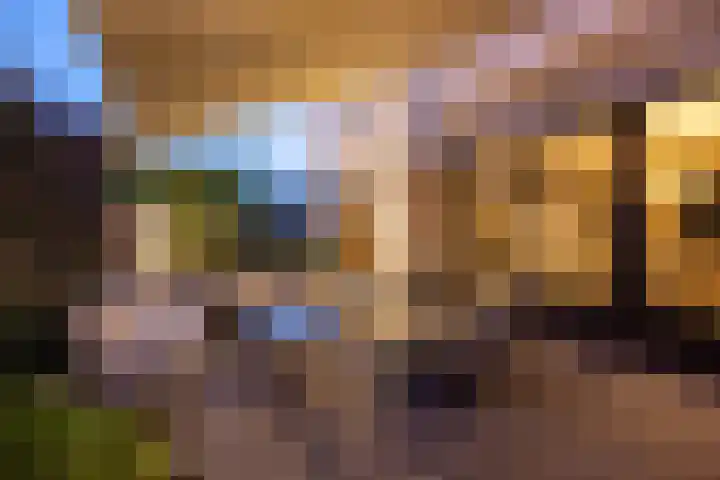 Ringvaartzijde 15 Lisse thumbnail 69