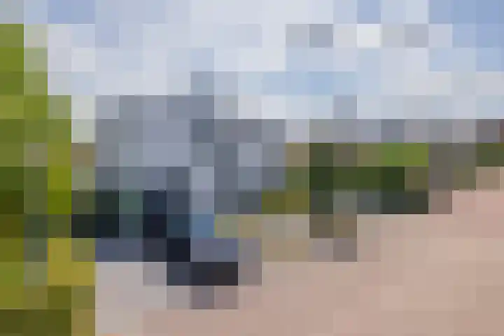 Ringvaartzijde 15 Lisse thumbnail 7