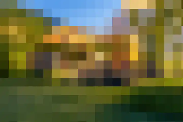 Ringvaartzijde 15 Lisse thumbnail 71