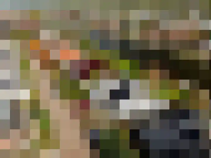 Ringvaartzijde 15 Lisse thumbnail 85