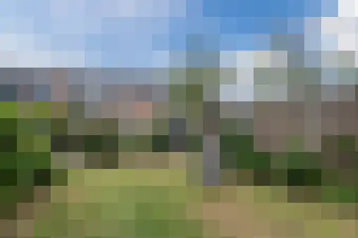Ringvaartzijde 19 Aalsmeer thumbnail 43