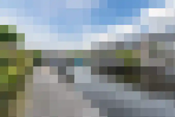 Ringvaartzijde 19 Aalsmeer thumbnail 45