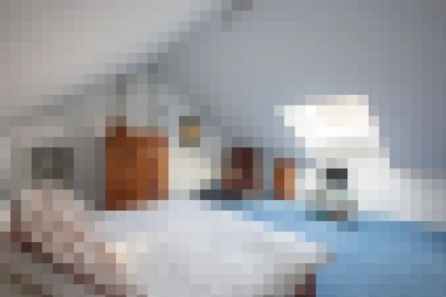 Ringvaartzijde 54 Aalsmeer thumbnail 37