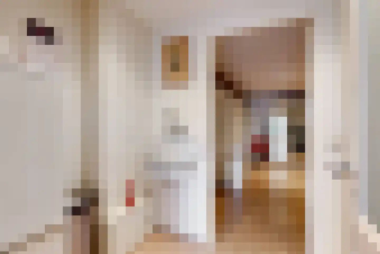 Ringvaartzijde 57 Aalsmeer thumbnail 16
