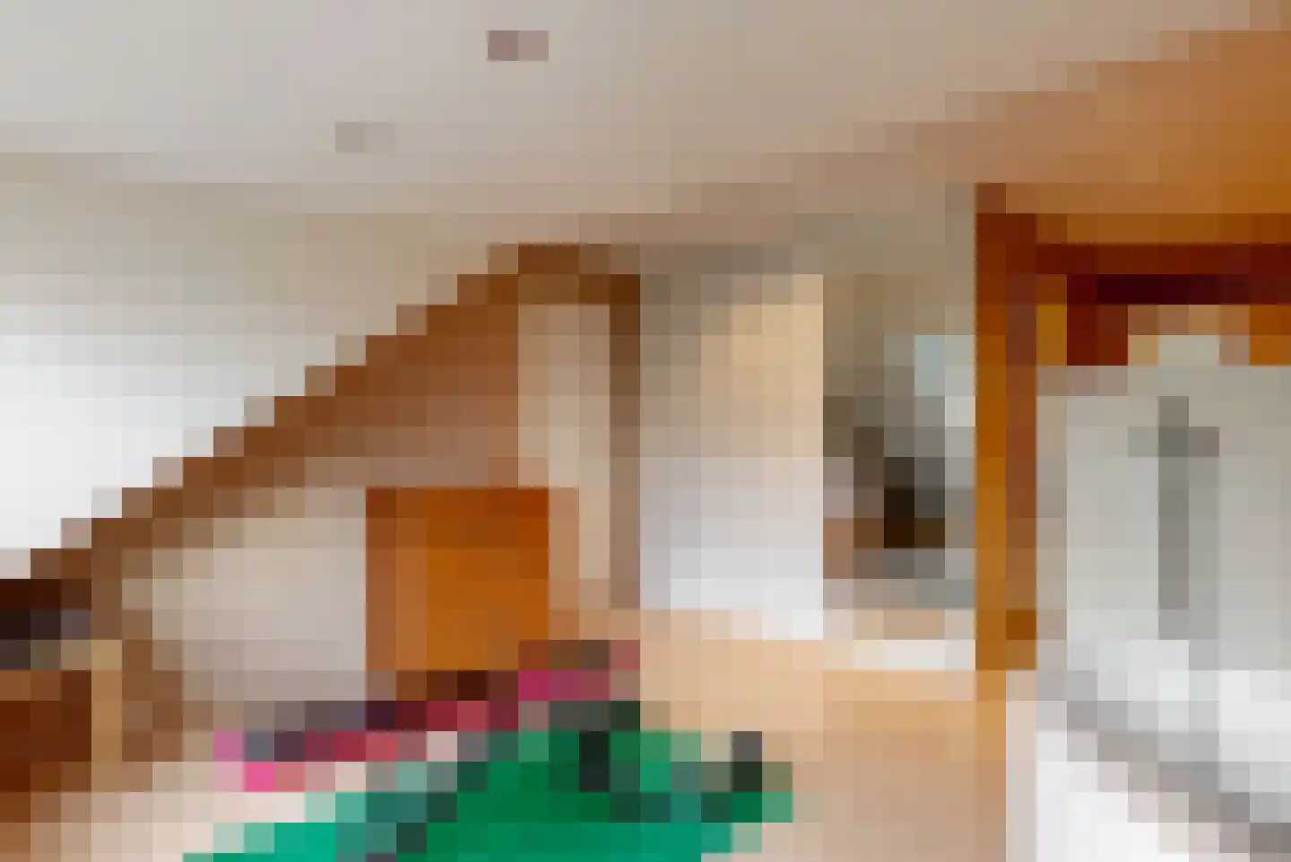 Ringvaartzijde 57 Aalsmeer thumbnail 33