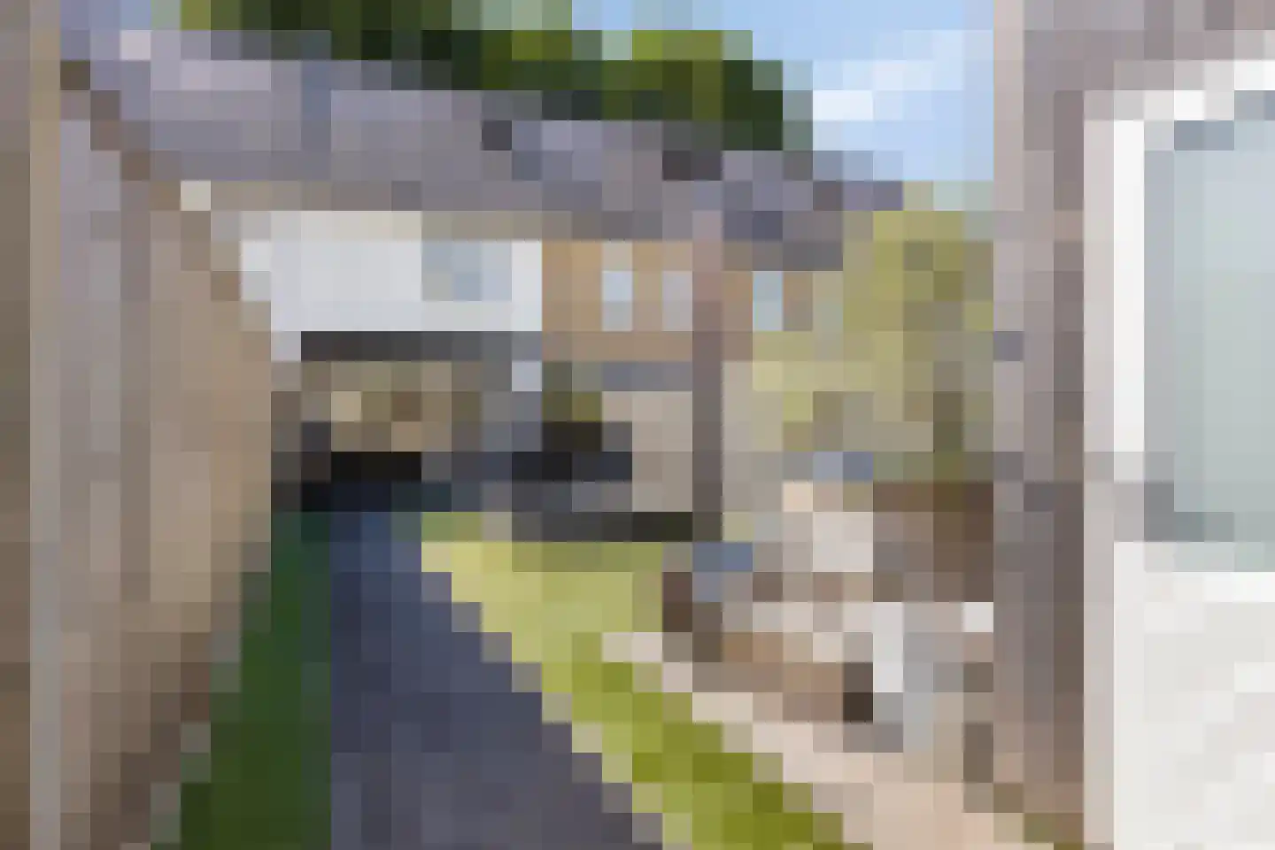 Ringvaert 16 B Kaatsheuvel thumbnail 24