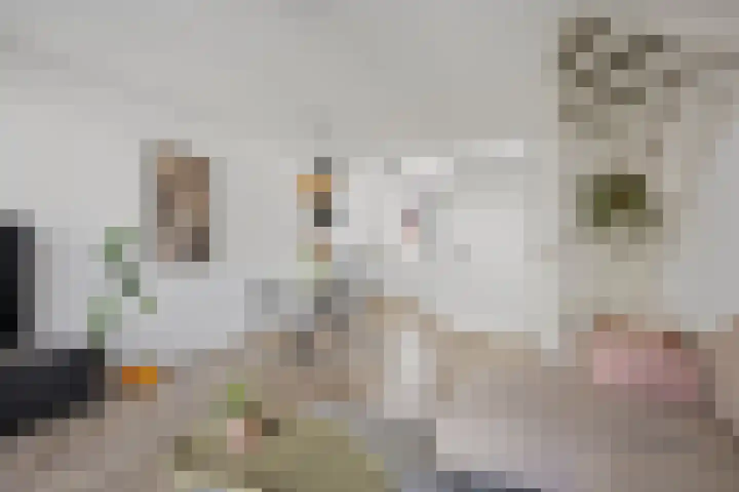 Ringvaert 16 B Kaatsheuvel thumbnail 5