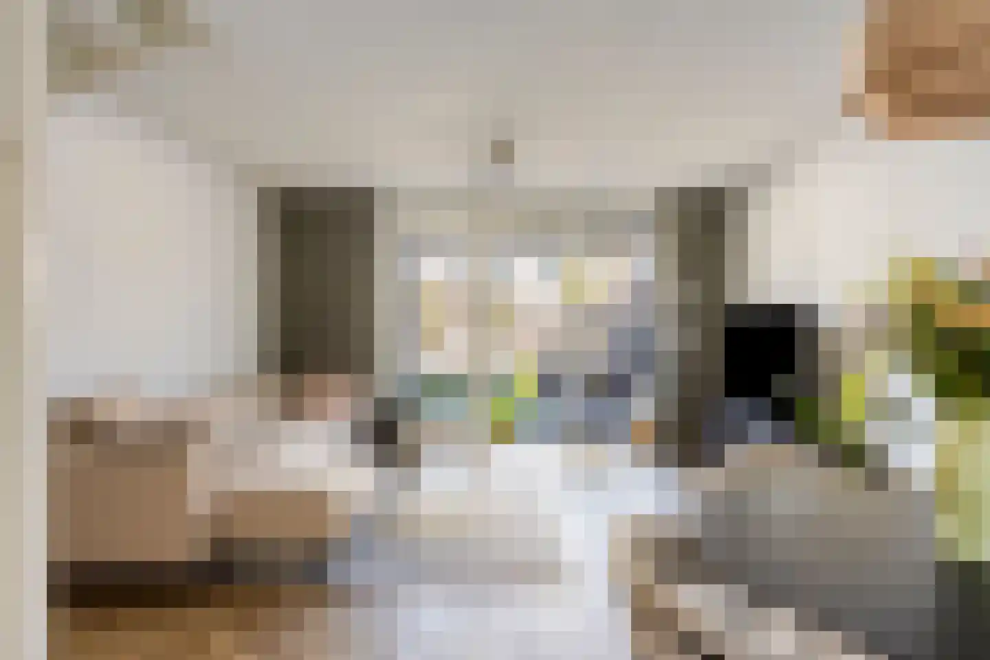 Ringvaert 16 B Kaatsheuvel thumbnail 6
