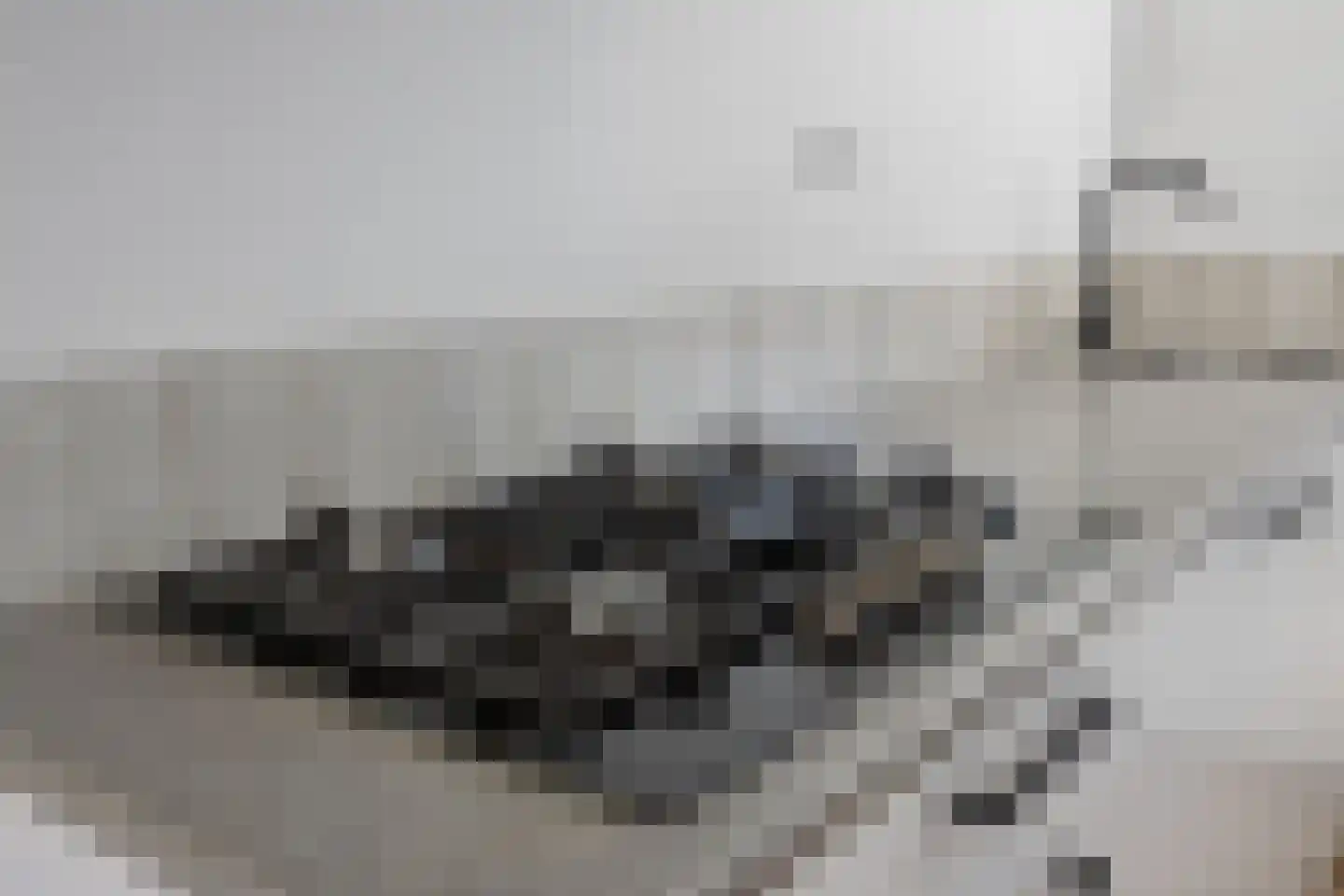 Ringvaert 16 B Kaatsheuvel thumbnail 8