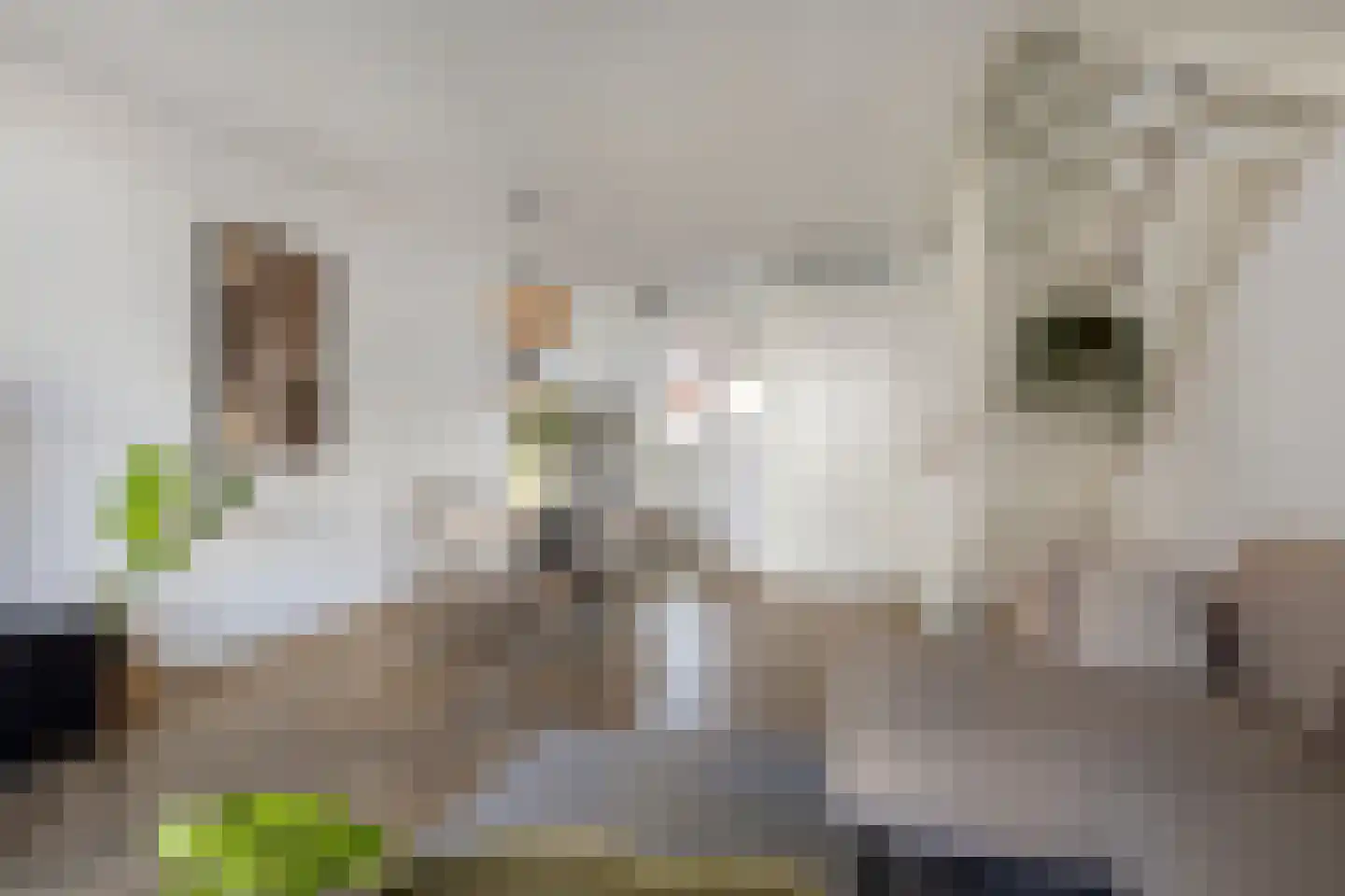 Ringvaert 16 B Kaatsheuvel thumbnail 9