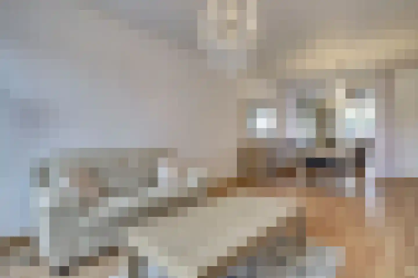 Ringweg 12 Heel thumbnail 15