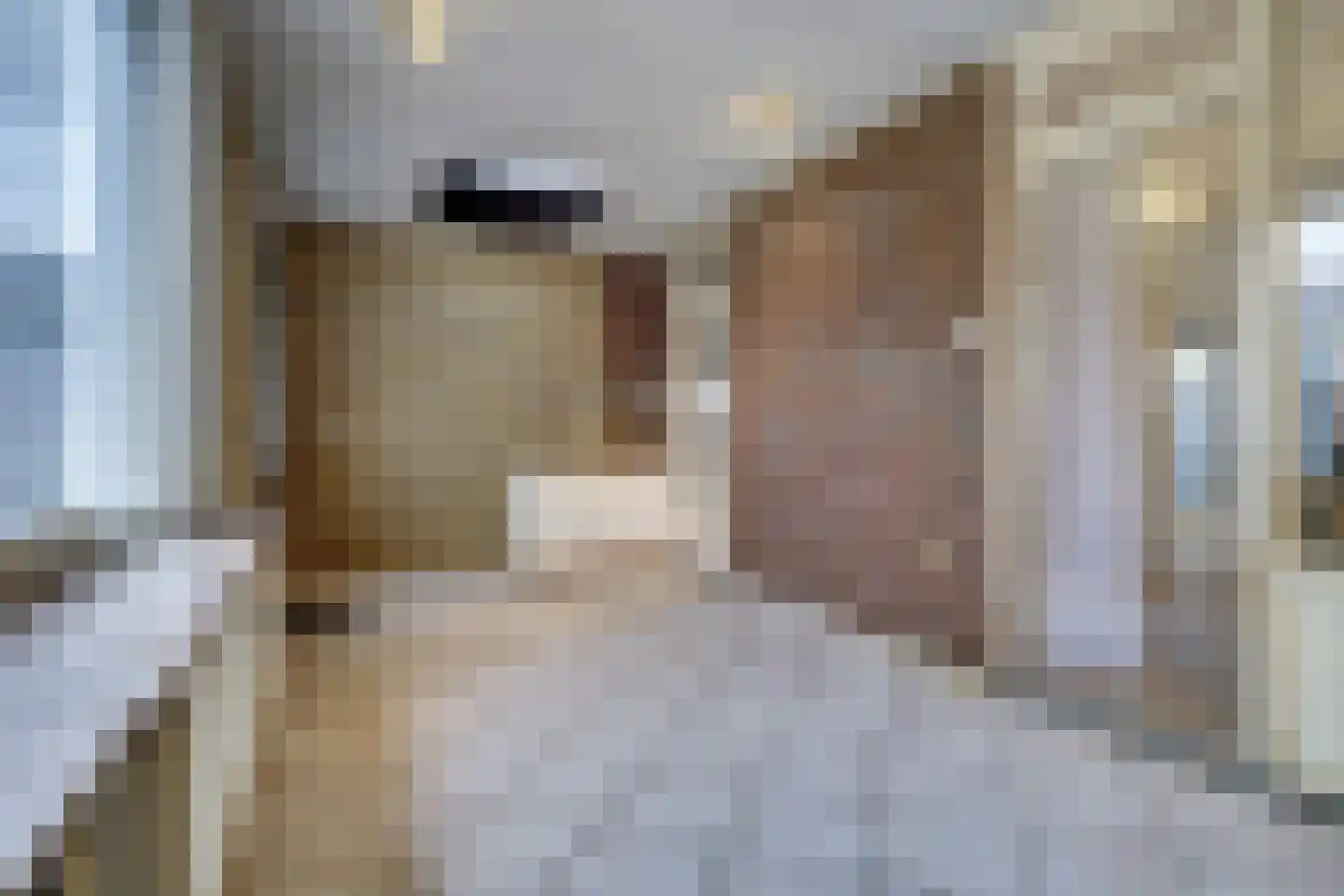 Ringweg 12 Heel thumbnail 24