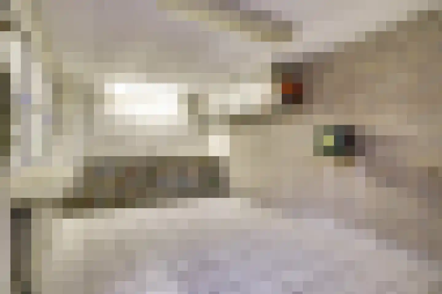 Ringweg 12 Heel thumbnail 38