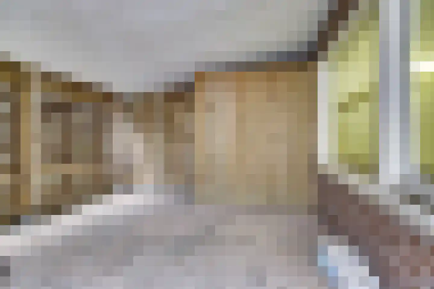 Ringweg 12 Heel thumbnail 39