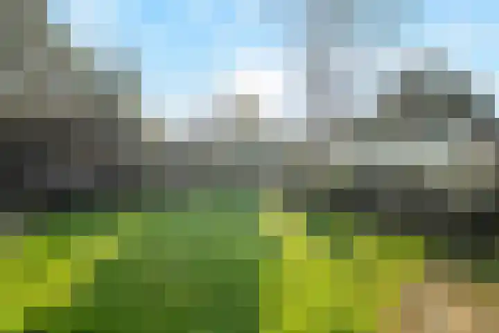Ringweg 12 Heiloo thumbnail 35