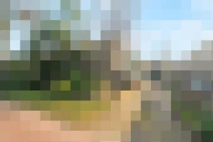 Ringweg 12 Heiloo thumbnail 4