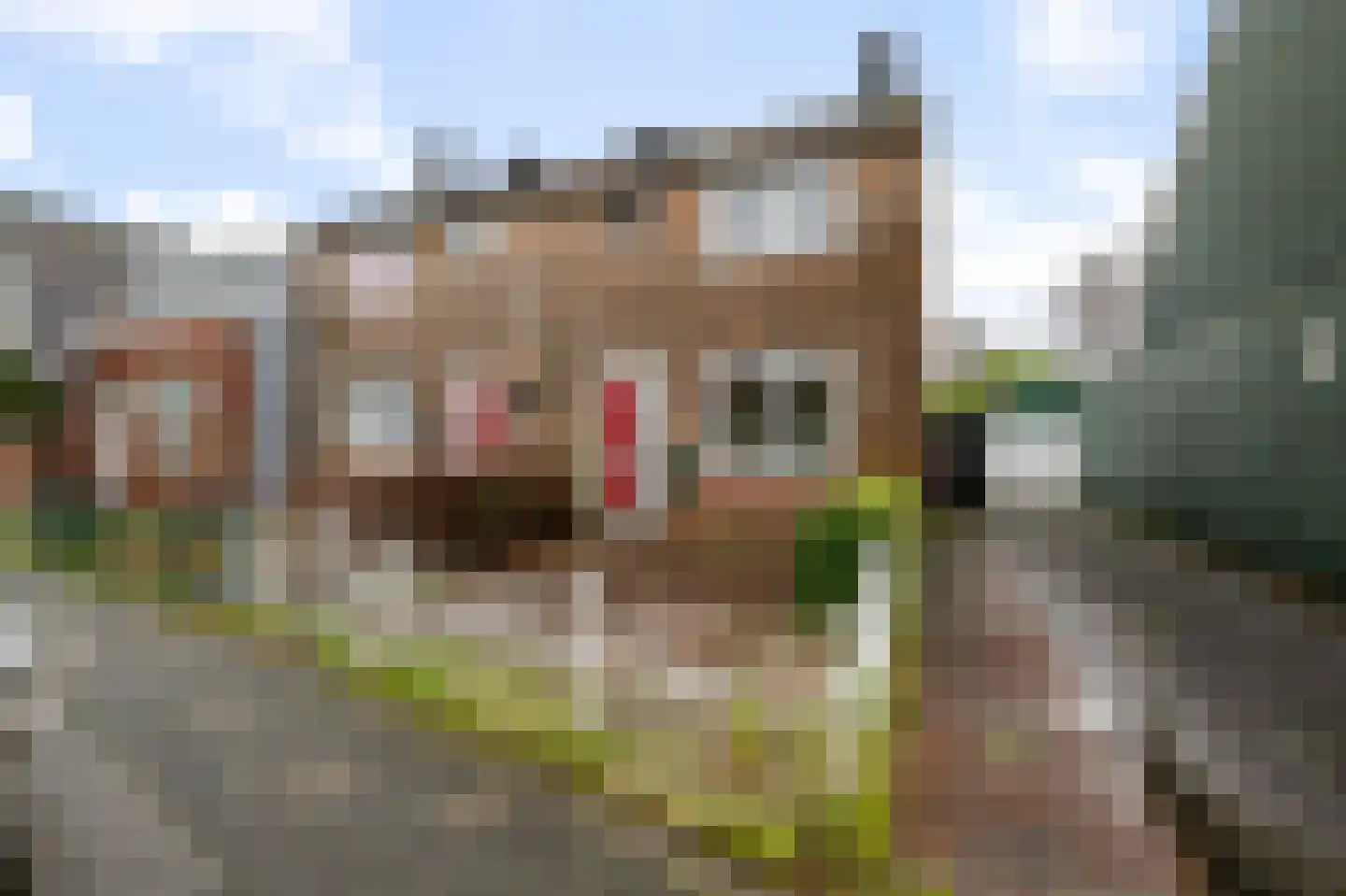 Ringweg 18 Zaandam thumbnail 26