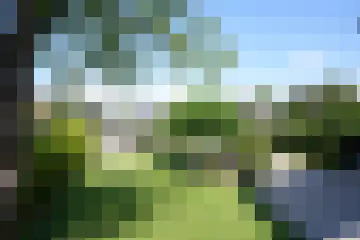 Ringweg 19 Gulpen thumbnail 40