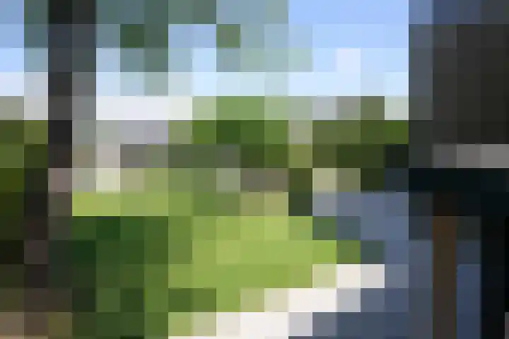 Ringweg 19 Gulpen thumbnail 41