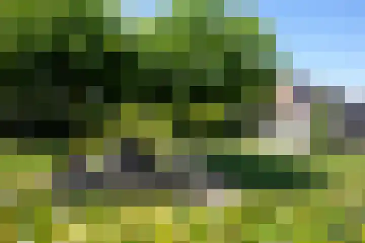 Ringweg 19 Gulpen thumbnail 47