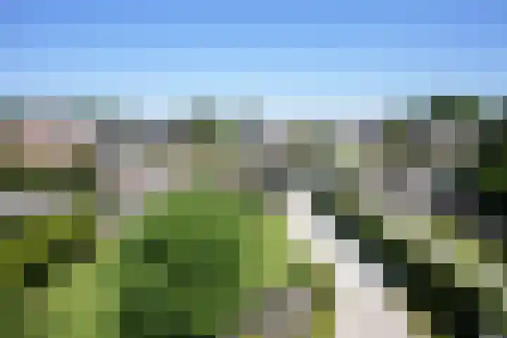 Ringweg 19 Gulpen thumbnail 52