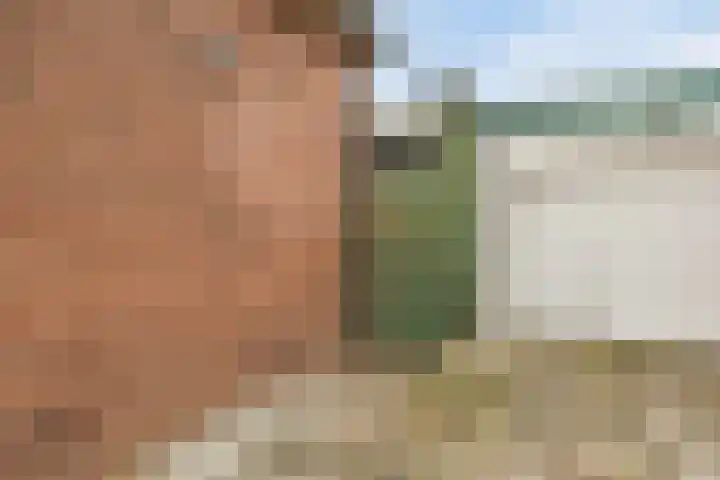 Ringweg 250 Zaandam thumbnail 38