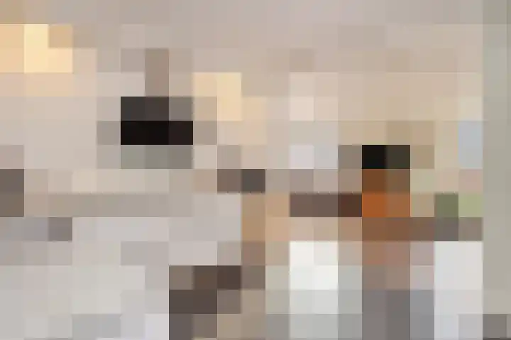 Ringweg 31 Heel thumbnail 20