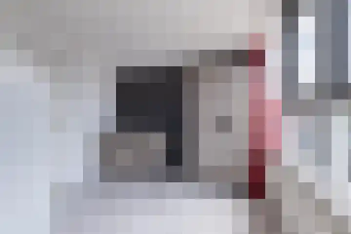 Ringweg 32 Marrum thumbnail 30