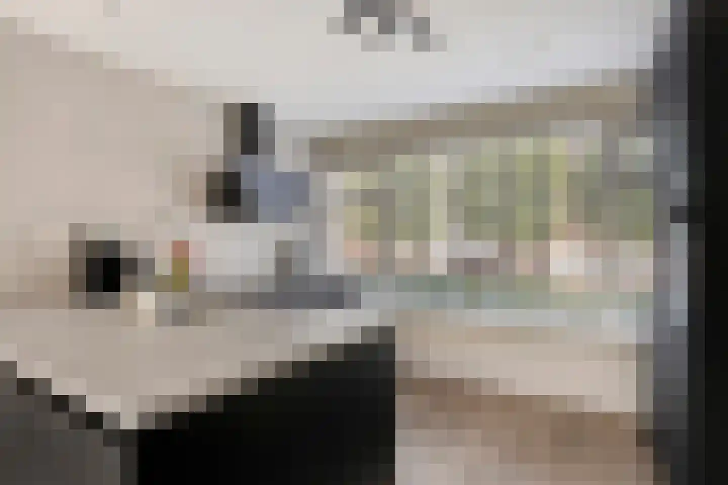 Ringweg 43 Spaarndam thumbnail 19