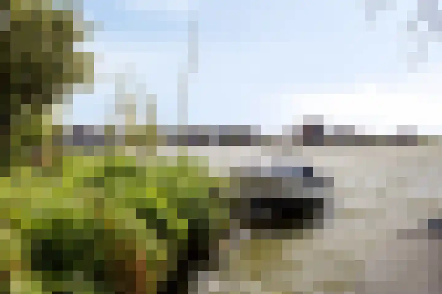 Ringweg 43 Spaarndam thumbnail 20