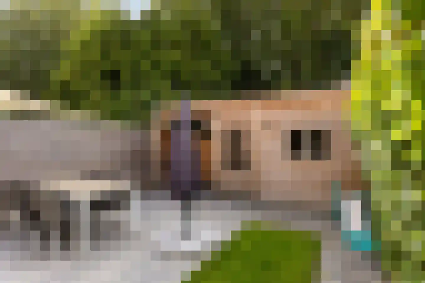 Ringweg 43 Spaarndam thumbnail 44