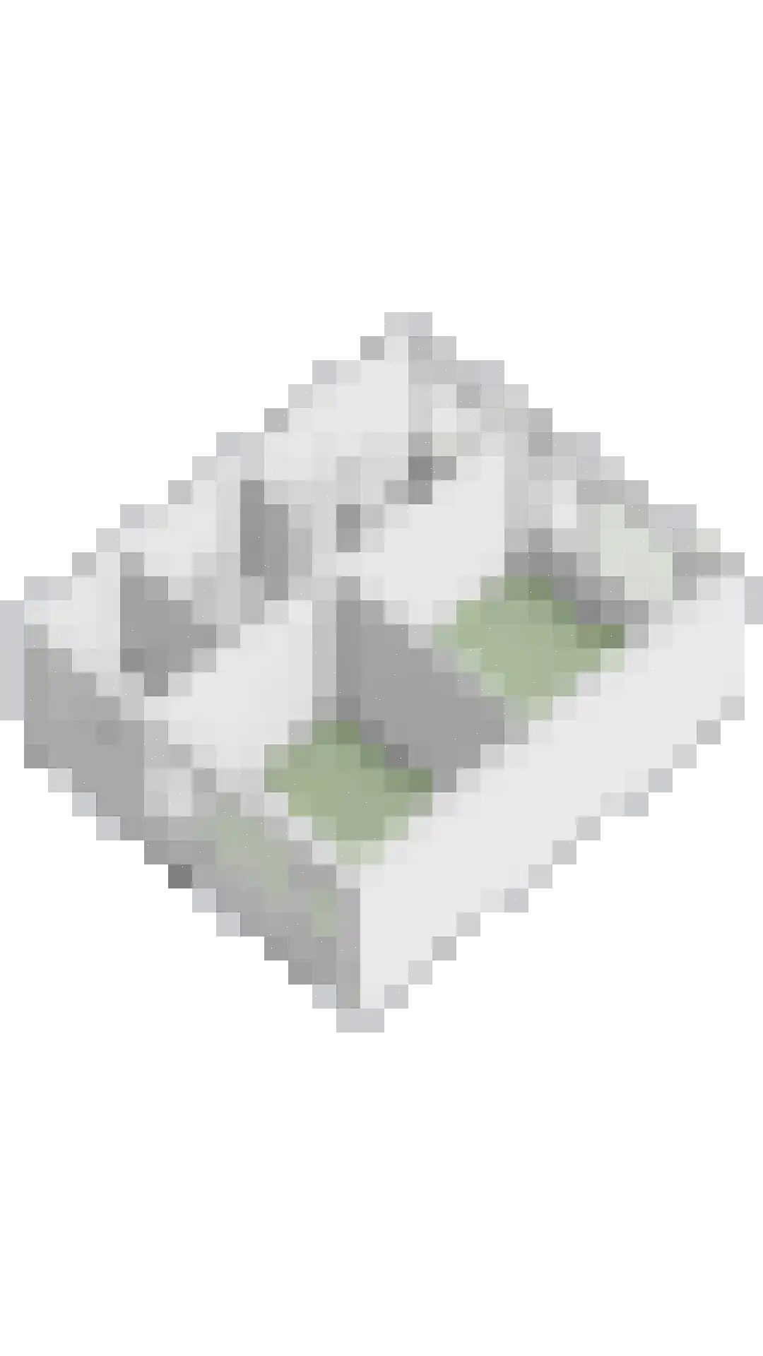 Ringweg 43 Spaarndam thumbnail 61