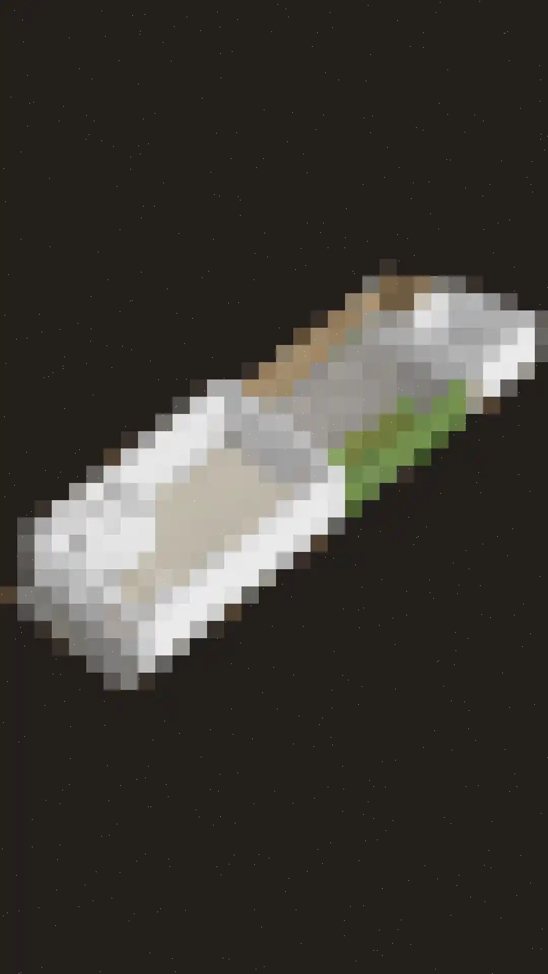Ringweg 43 Spaarndam thumbnail 64
