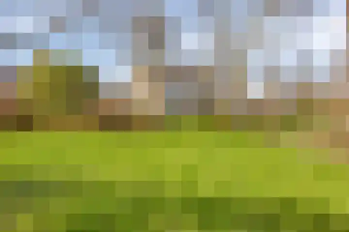 Ringweg 47 Limbricht thumbnail 39