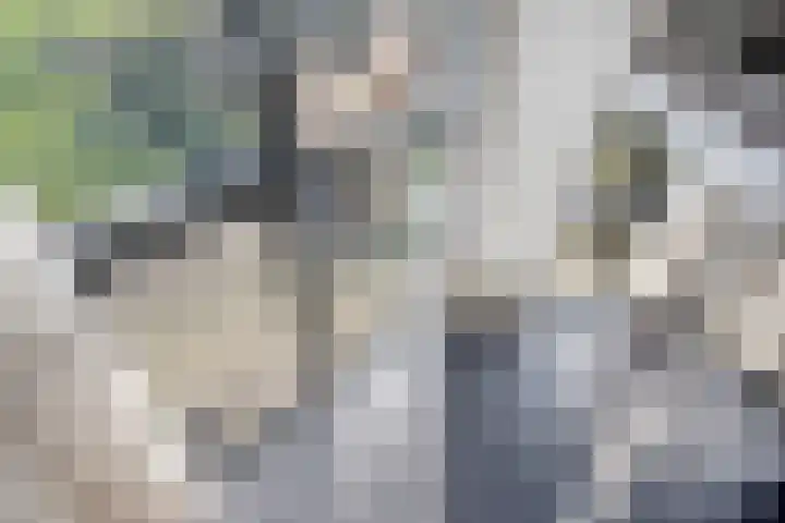 Ringweg 47 Limbricht thumbnail 4