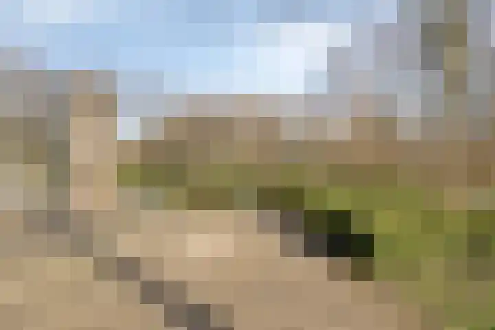 Ringweg 47 Limbricht thumbnail 41