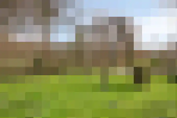 Ringweg 47 Limbricht thumbnail 43