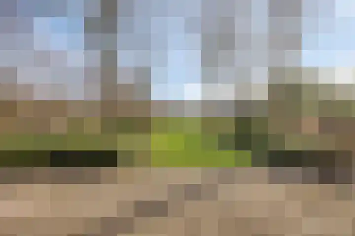 Ringweg 47 Limbricht thumbnail 44