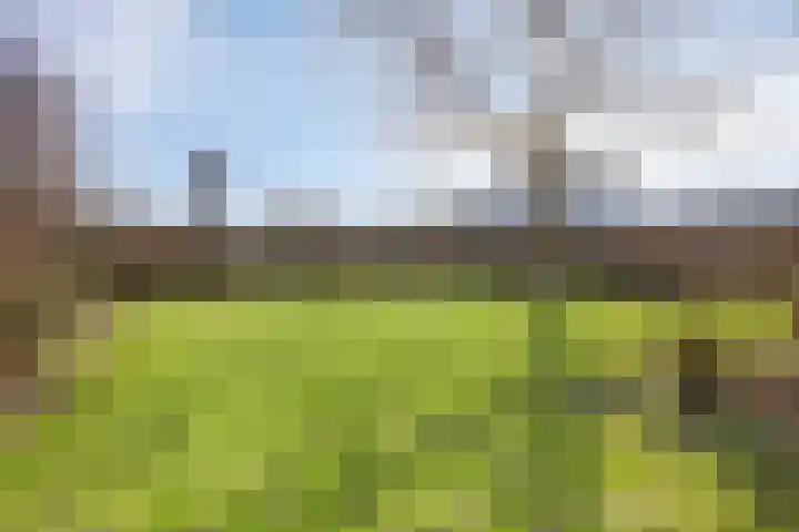 Ringweg 47 Limbricht thumbnail 48