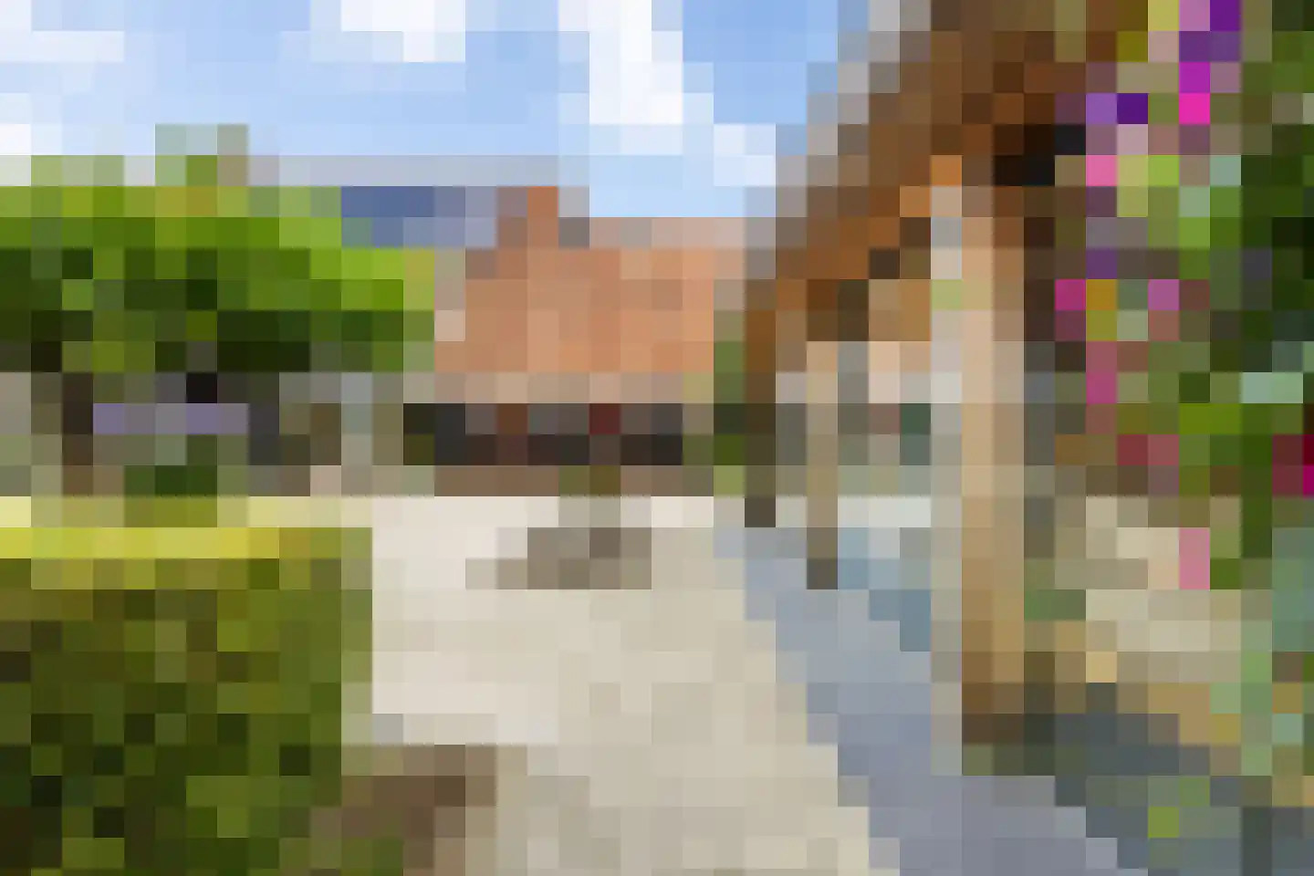 Ringweg 50 a Colijnsplaat thumbnail 35