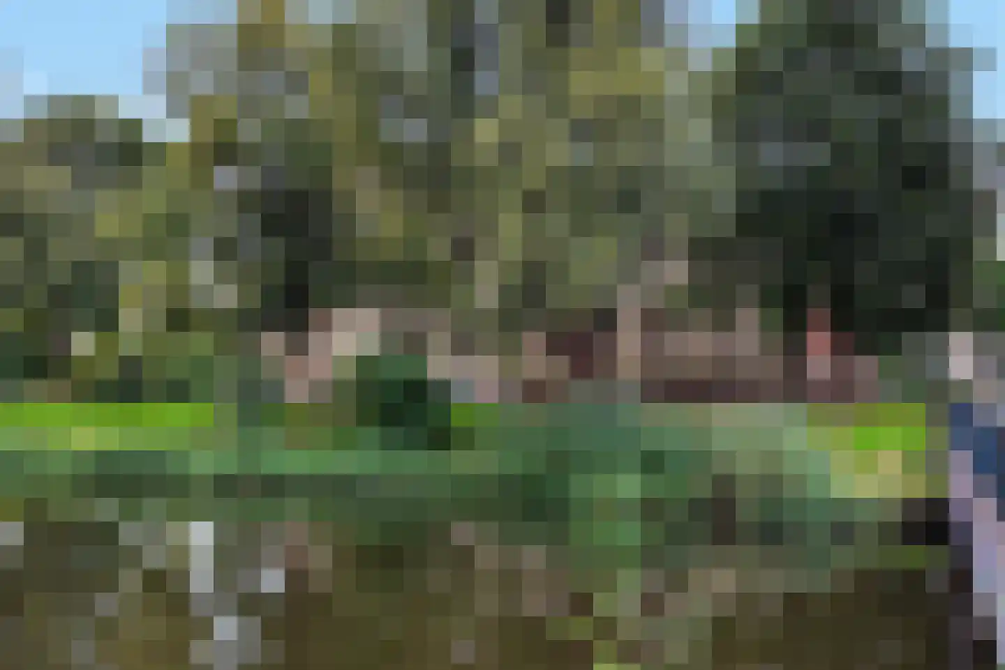 Ringweg-Randenbroek 14 A Amersfoort thumbnail 7