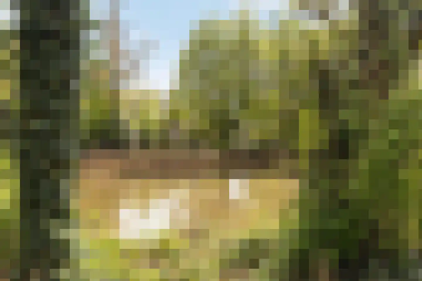 Ringweg-Randenbroek 44 E Amersfoort thumbnail 23