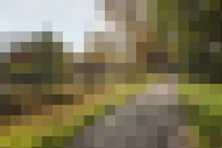 Ringweg-Randenbroek 6 F Amersfoort thumbnail 27