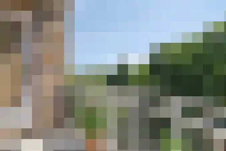 Ringweg-Randenbroek 66 E Amersfoort thumbnail 18