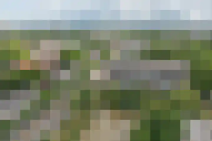 Ringweg-Randenbroek 76 D Amersfoort thumbnail 31