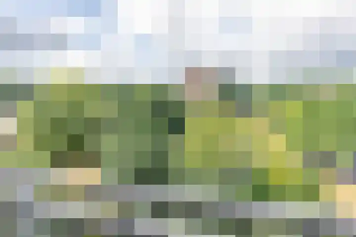 Ringweg-Randenbroek 76 D Amersfoort thumbnail 5