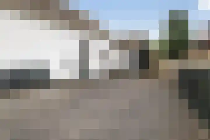 Ringwei 17 Brantgum thumbnail 10