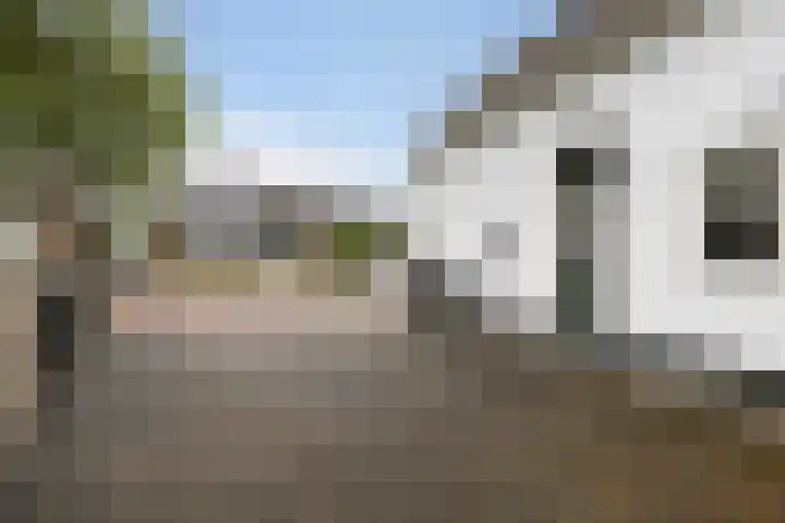 Ringwei 17 Brantgum thumbnail 11